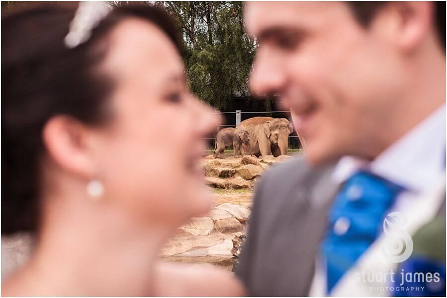 Twycross Zoo Wedding | Jodie + Mike