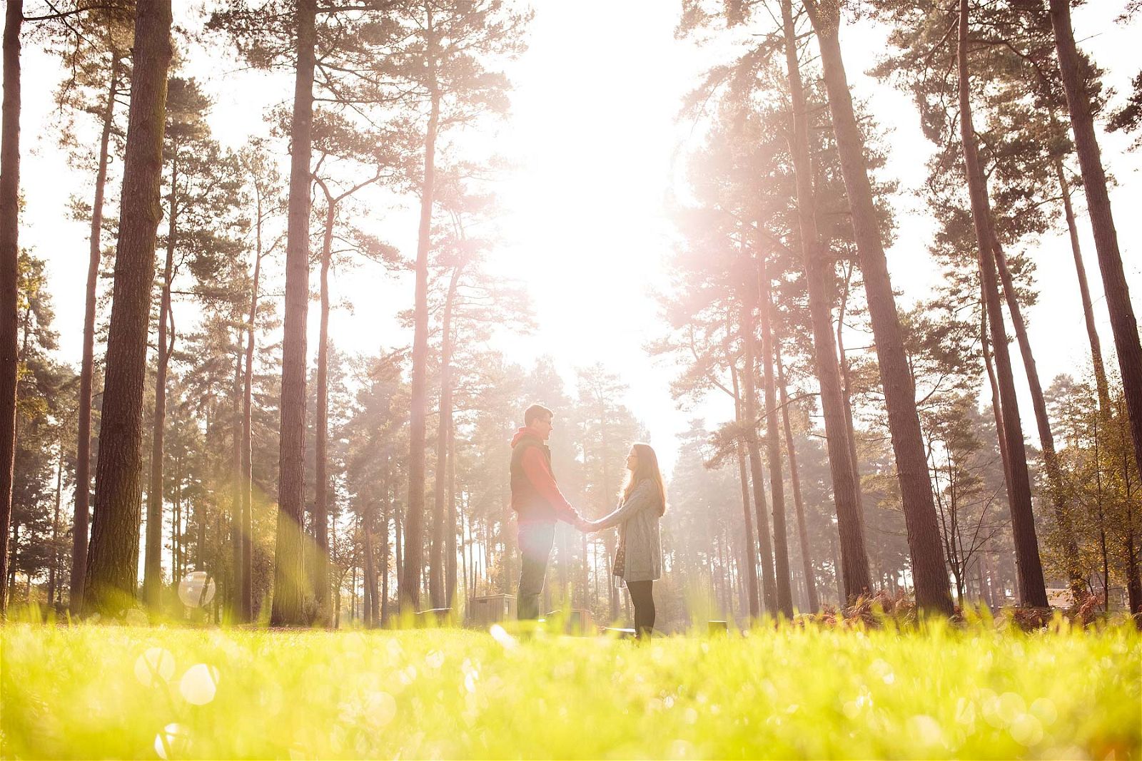 Stunning light and beautiful location proved to be the perfect setting for this couples engagement portrait session at Birches Valley in Cannock by Cannock Reportage Wedding Photographer Stuart James